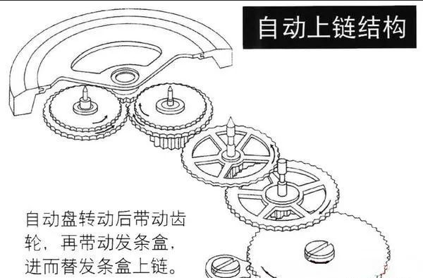 手表生產(chǎn)廠(chǎng)家談手表要佩戴多久才會(huì )走時(shí)精準？03